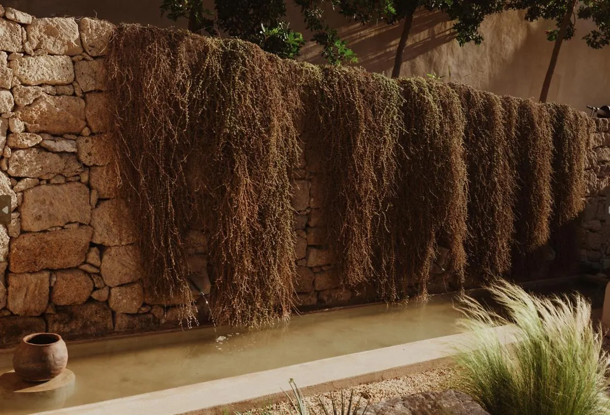 Ecohotel El Agua Arico el Nuevo